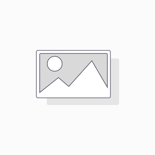 WAISTCOAT EN20471 1BB/SB